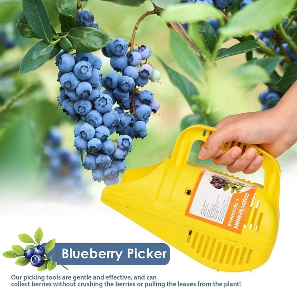 Gardening Tools You Must Have - Herramienta para Recoger Arándanos con Dientes