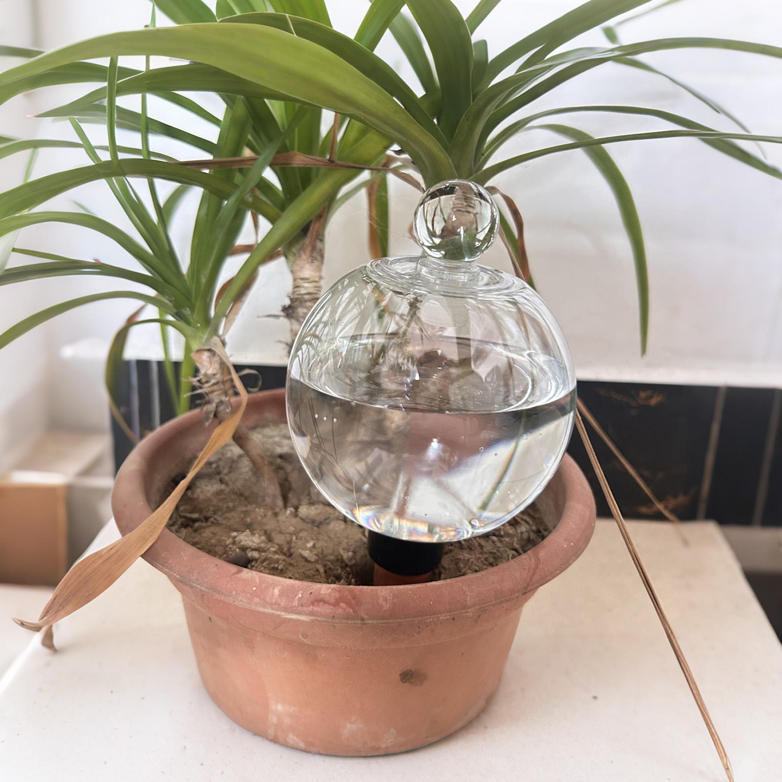 Bombillas de Riego para Planta - Drip Irrigation Kit reseña y precio
