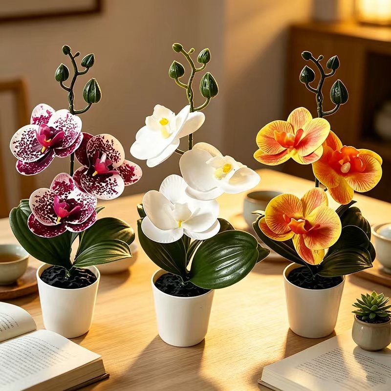 Mini orquídea mariposa en mace - Orchid Potting Mix reseña y precio