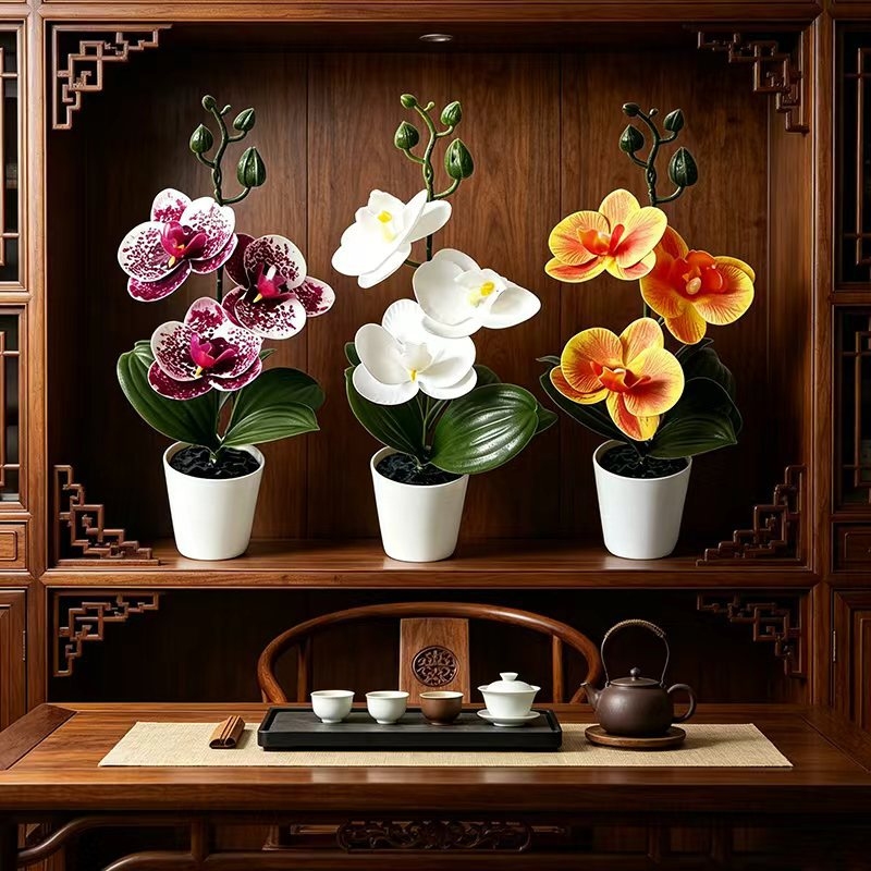 Mini orquídea mariposa en mace - Orchid Potting Mix reseña y precio
