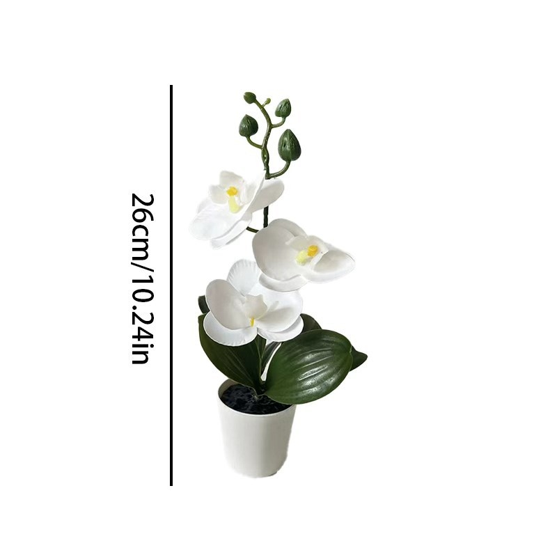 Mini orquídea mariposa en mace - Orchid Potting Mix reseña y precio