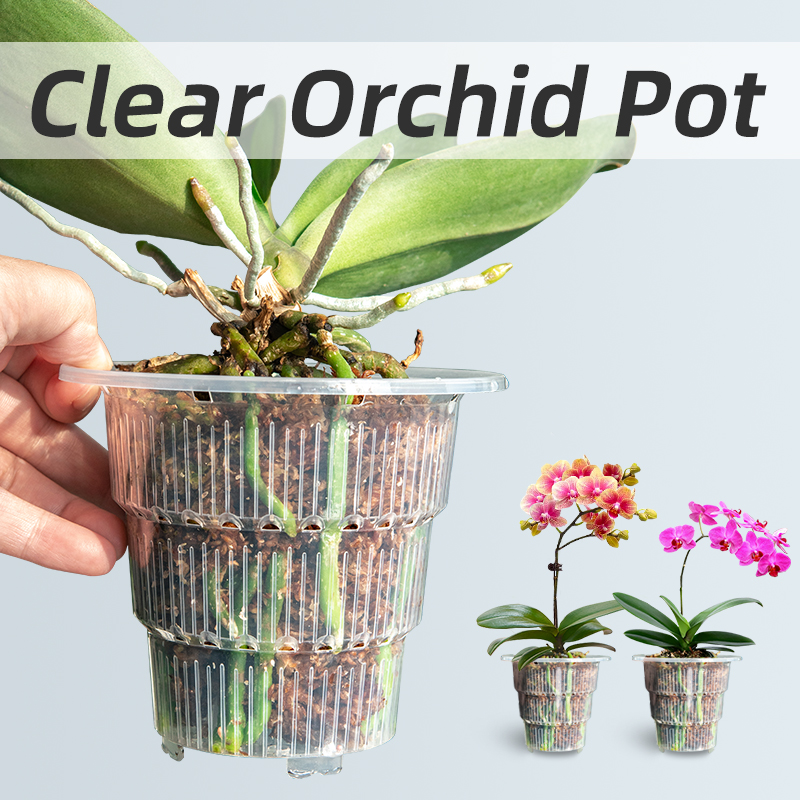 Meshpot macetas de orquídeas d - Orchid Potting Mix reseña y precio