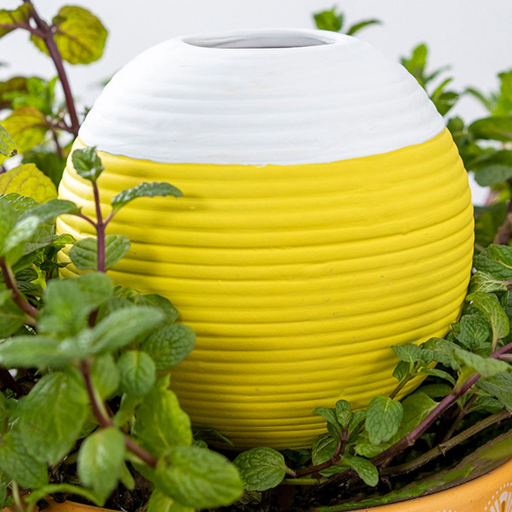 Herramienta de riego automátic - Gardening Tools You Must Have reseña y precio