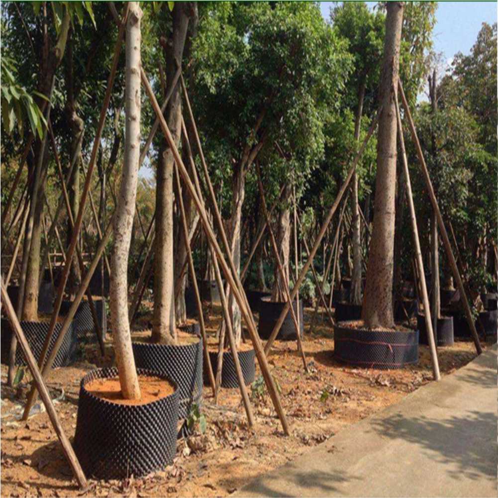 Maceta de cultivo para árboles - Gardening Tools In reseña y precio