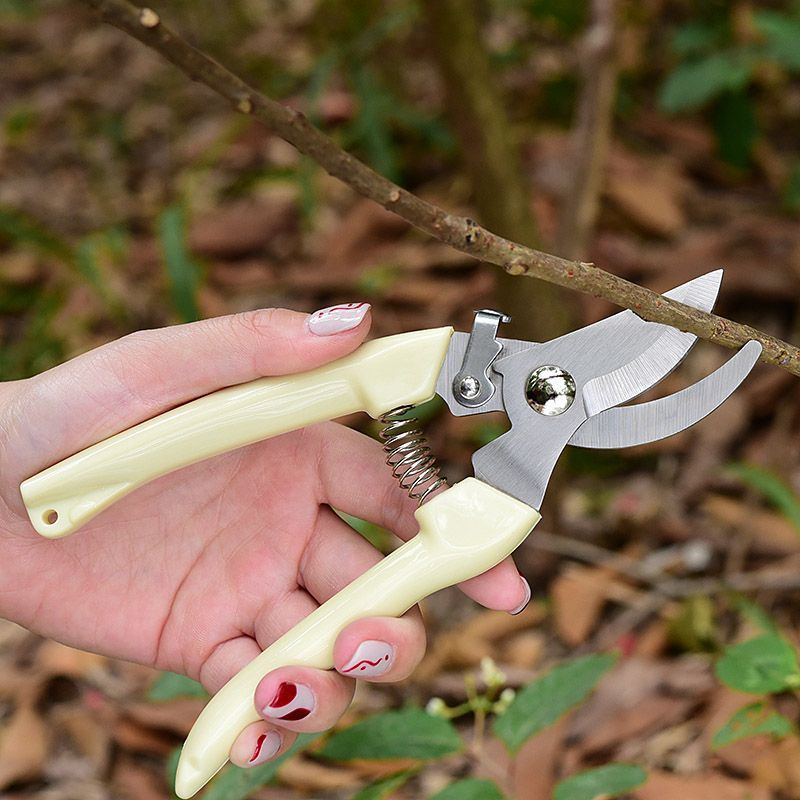 Tijeras de podar de jardín que - Gardening Tools Usa reseña y precio