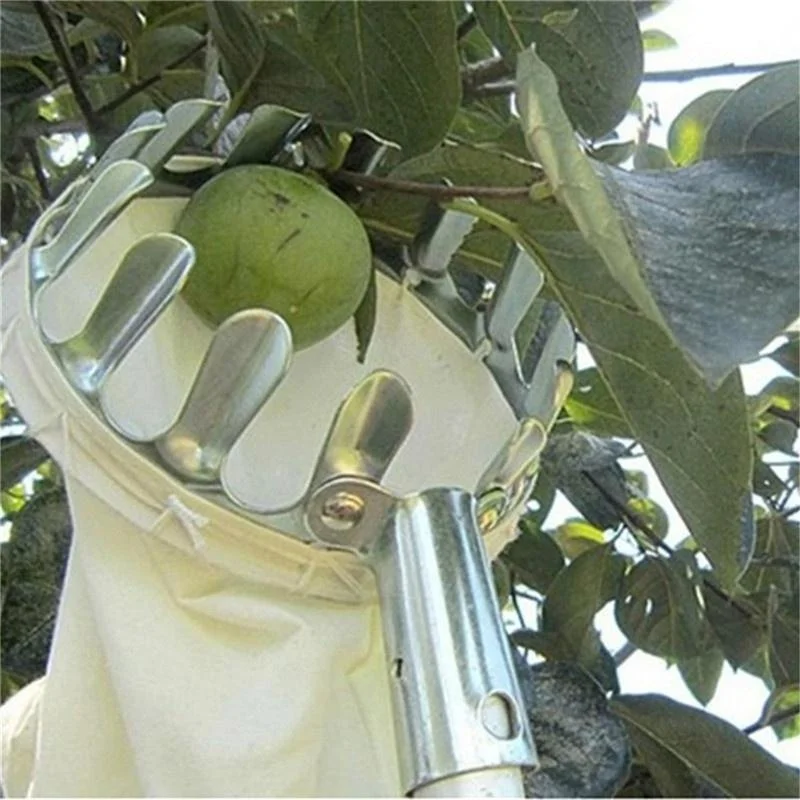 Recolector de Frutas para Gran - Gardening Tools Bag reseña y precio