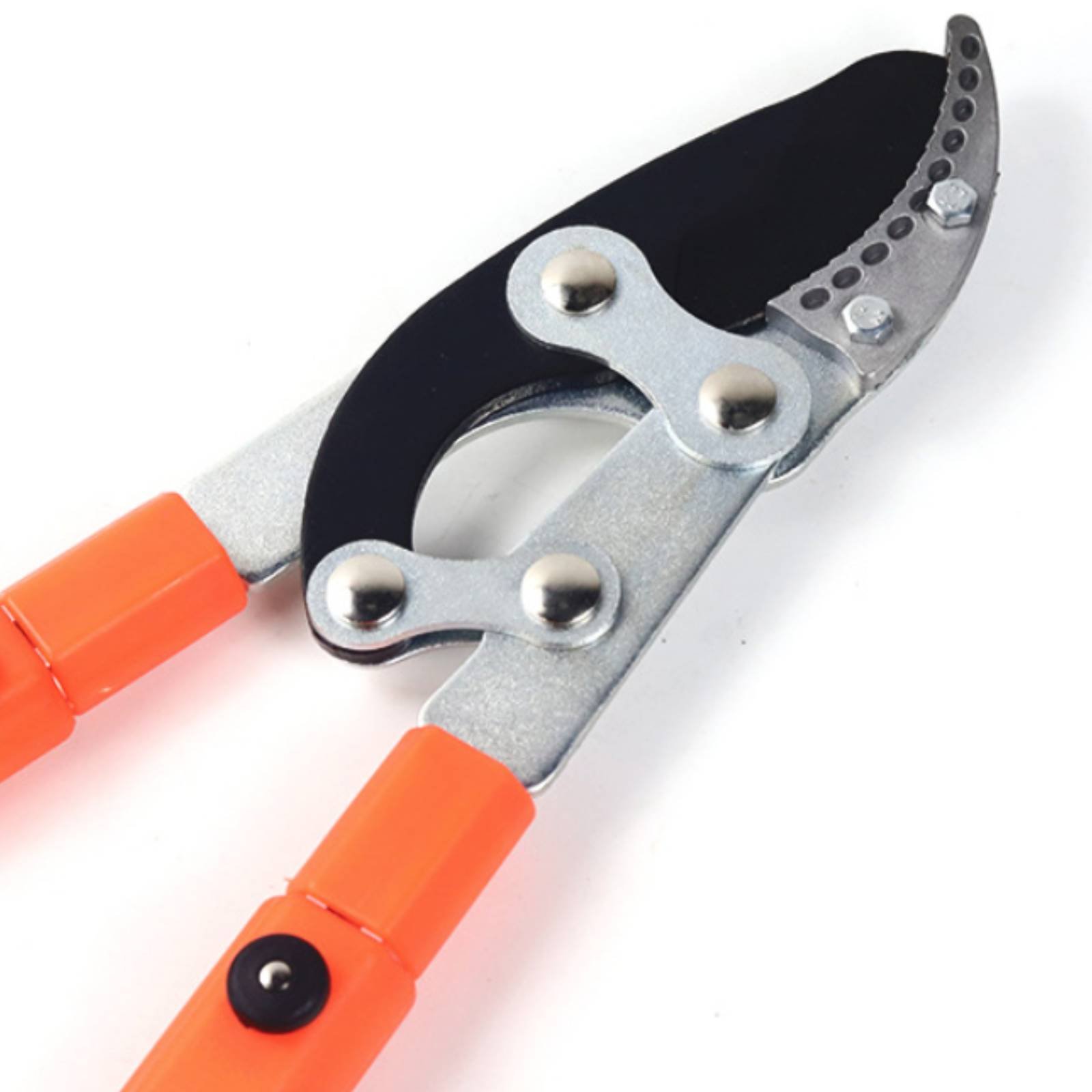 Podadoras telescópicas para ra - Gardening Tools In reseña y precio