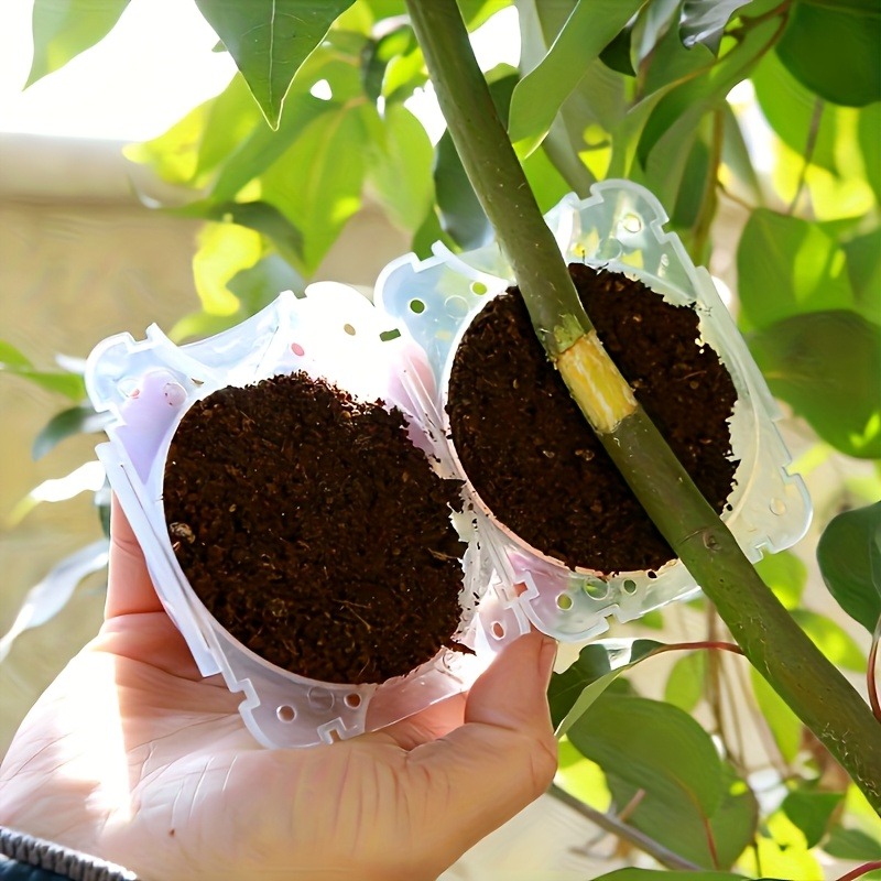 Kit de 10 Piezas para Propagac - Gardening Tools Bag reseña y precio
