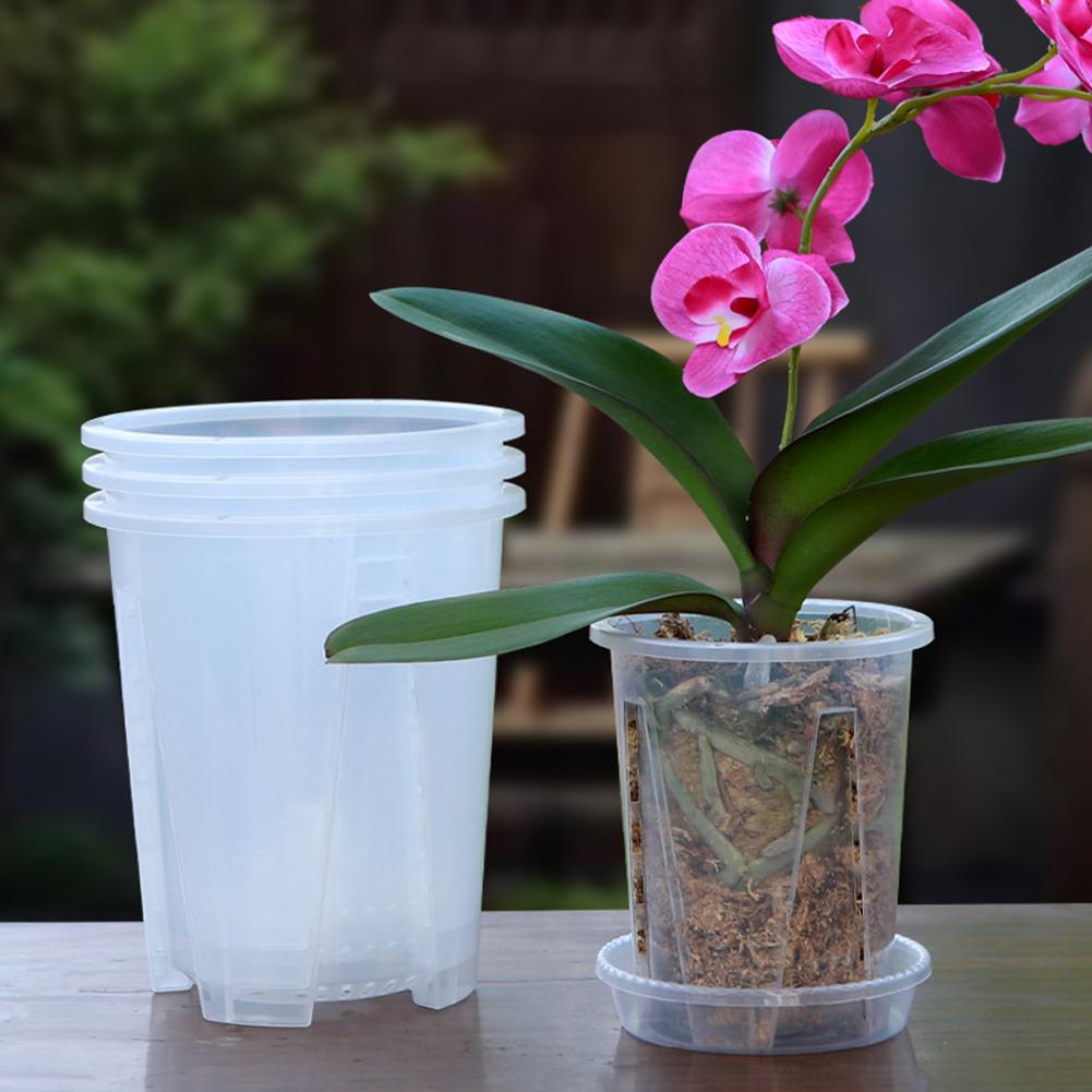 Kit de 5 Macetas de Plástico T - Orchid Potting Mix reseña y precio