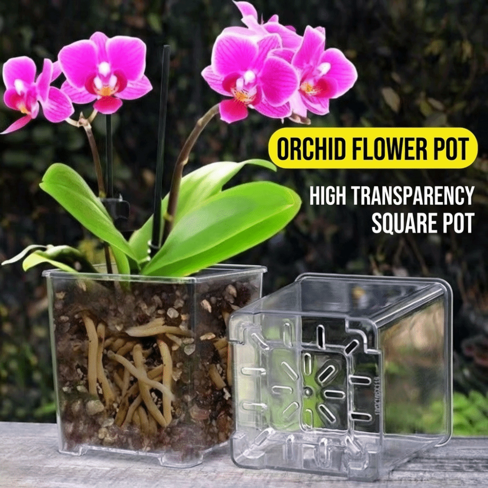 Kit de 5 Macetas de Plástico T - Orchid Potting Mix reseña y precio
