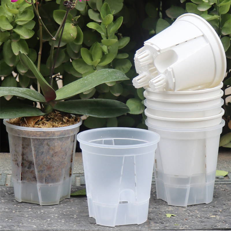 Maceta de orquídeas transparen - Orchid Potting Mix reseña y precio